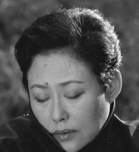 建国十大美女排行榜图册(70后公认十大美女排行)插图11