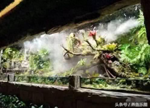 景观鱼缸价位排名前十(睿美7s鱼缸价位及质量怎么样)插图29