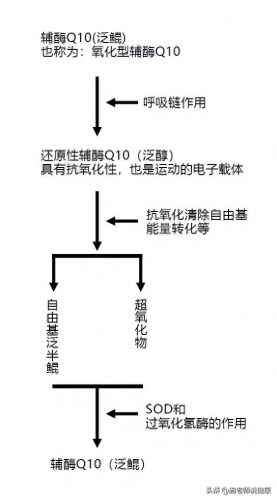 泛醇软胶囊十大品牌排行榜(哪个牌子的泛醇好)插图2
