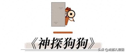 儿童推理小说十大必看排行榜(豆瓣高分悬疑推理小说)插图2