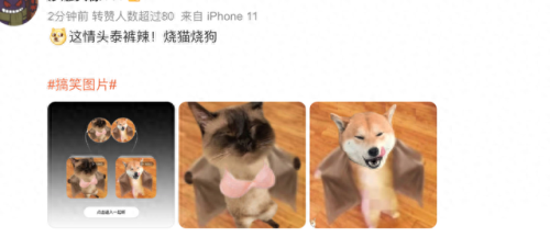 全网十大热梗排行榜第一(沙雕热梗)插图6