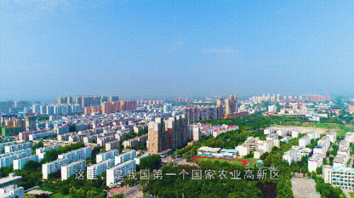 杨凌十大面馆排行榜最新(陕西省十大面馆排名)插图18