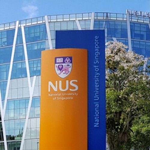 新加坡十大名牌大学排行榜(新加坡十大最好大学)插图2