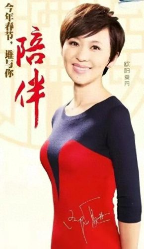 内地十大女主持人排行榜(国内公认十大女主持人)插图2