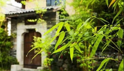 武汉前十洗浴中心排名(武汉最豪洗浴中心)插图52