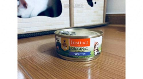 猫咪罐头排名前十(猫咪罐头排行榜)插图12