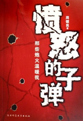 十大超级特种兵小说排行榜(十大巅峰特种兵小说)插图5