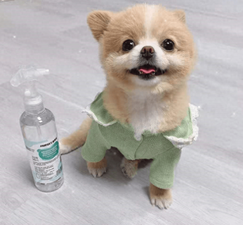 狗干洗粉十大排行榜(干洗粉对幼犬有害吗)插图3