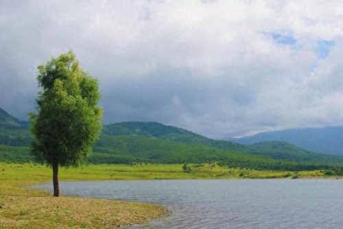 丽江景点价格排名前十(7月份云南丽江十大旅游景点)插图35