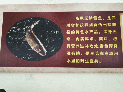 理塘出名饭店排名前十(理塘味真饭店)插图2