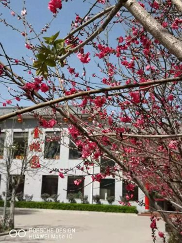 汾阳订婚酒店排名前十(汾阳八大碗哪家酒店正宗)插图2
