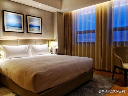 大庆中式酒店排名前十(大庆酒店排行榜最新)插图5