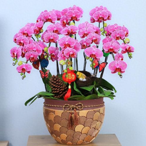 十大名贵花卉排行榜及图片(勉县名贵花卉)插图9