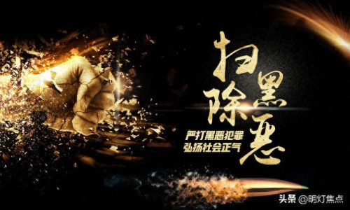 河南黑社会十大排行榜(河南黑帮案件)插图5