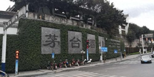 贵州乡村面积排名前十(乡村振兴名单贵州)插图3