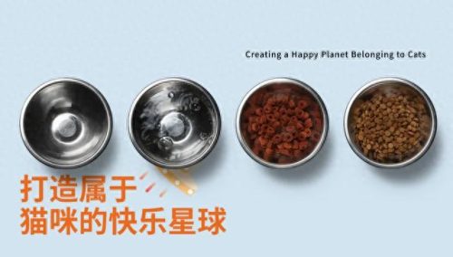 幼猫品牌十大排行榜(品牌猫咪排行)插图17