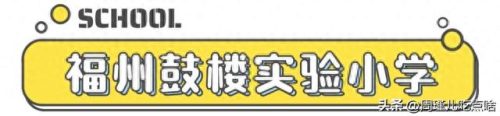 福建小学面积排名前十(福建私立小学十大排名)插图29