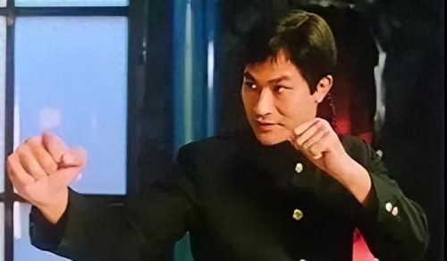 十大搞笑武打剧排行榜演员(中国十大武打女明星)插图7