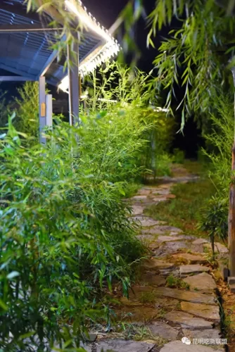 昆明兔肉餐馆排名前十(昆明哪里有兔肉卖)插图46