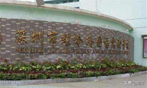 罗湖排名前十的小学(罗湖最差的小学)插图