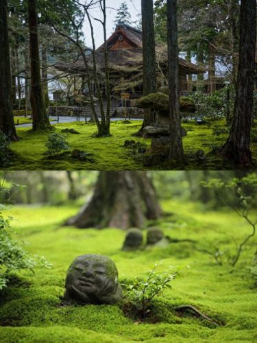 小东京寺庙排名前十(东京周边的寺庙)插图1