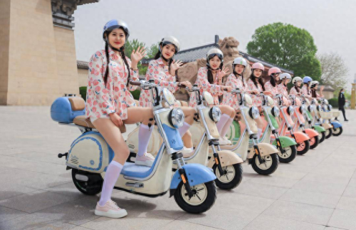 十大电动车牌子排行榜图片(十大耐用电动车三轮车)插图3