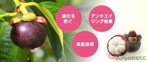 日本十大抗糖药品牌排行榜(进口控糖药推荐排行榜)插图9