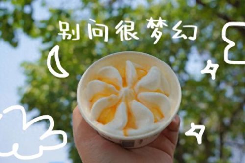 平价商用炼乳排名前十(炼乳与奶粉哪个好)插图21