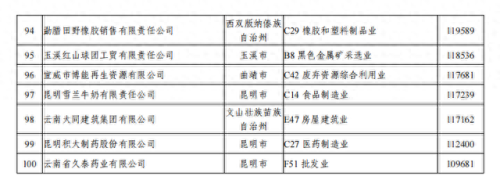 云南实体工厂排名前十(云南滇橄榄粉工厂)插图6