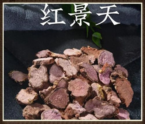 补气血最贵药材排行榜十大(女人气血不足用什么药材泡酒)插图10