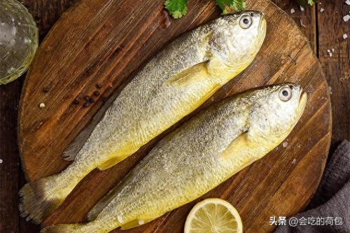十大高营养食品排行榜最新(生发食品十大排行榜)插图5