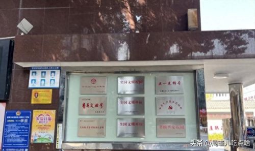 福建小学面积排名前十(福建私立小学十大排名)插图12