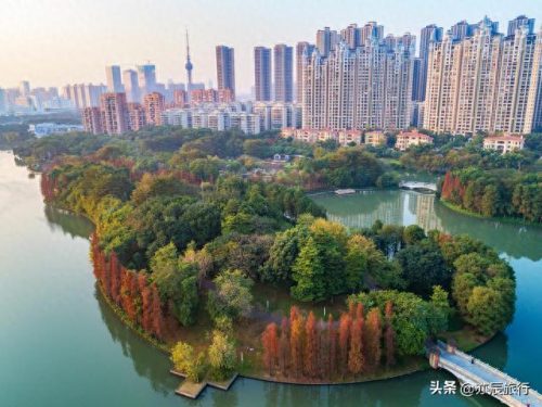 南宁十大必玩景点排行榜图片(南宁必去4个景点)插图13