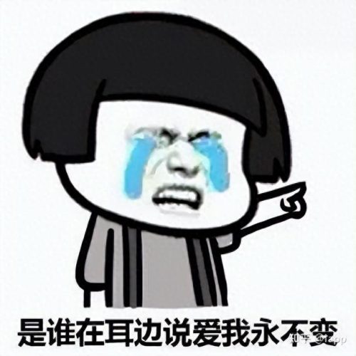 学生必备的十大软件排行榜(中小学生成绩查询软件)插图5