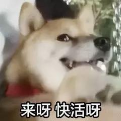 十大好吃的瓜子品牌排行榜(什么牌子瓜子好吃)插图20