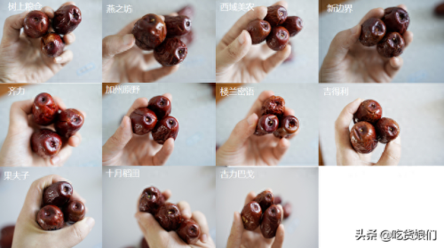 新疆贴纸商场排名前十(新疆手账本贴纸)插图21
