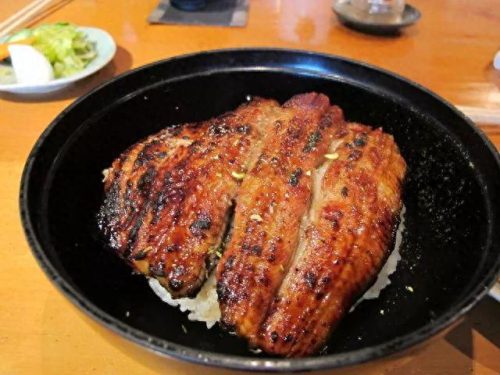 大阪鳗鱼排名前十(大阪鳗鱼店)插图57
