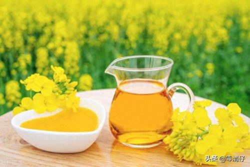 环保食油企业排名前十(环保股十大排名)插图1