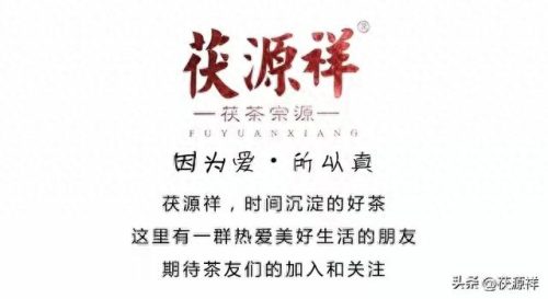 户外喝茶神器排名前十(户外喝茶神器有哪些)插图2