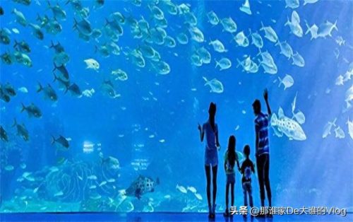 中国十大游乐园排行榜名单(中国大型游乐园排名)插图6