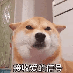 网文界十大渣女排行榜最新(网文写作的十大禁忌)插图6