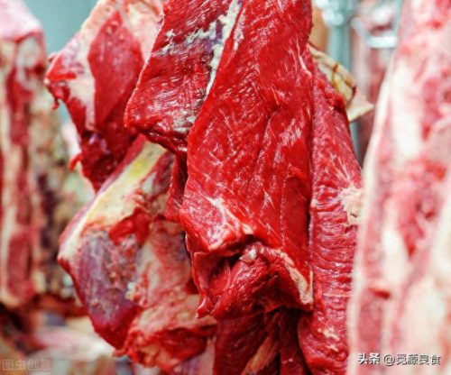 中国黄牛产区排名前十(黄牛品种排行榜前十名)插图2