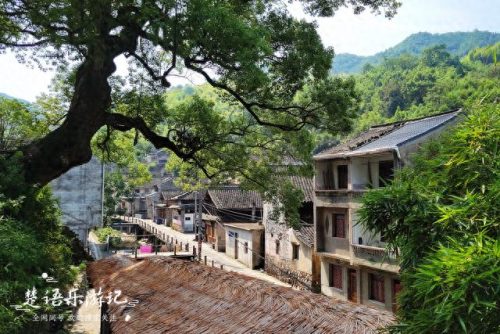 浙江宁波十大村排行榜(宁波十大富村排名)插图