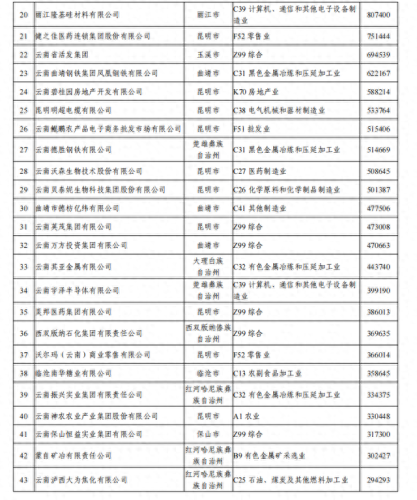 云南实体工厂排名前十(云南滇橄榄粉工厂)插图3
