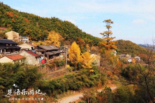 浙江宁波十大村排行榜(宁波十大富村排名)插图7