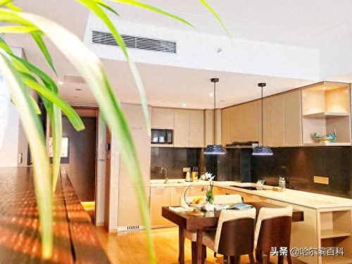 大庆中式酒店排名前十(大庆酒店排行榜最新)插图2