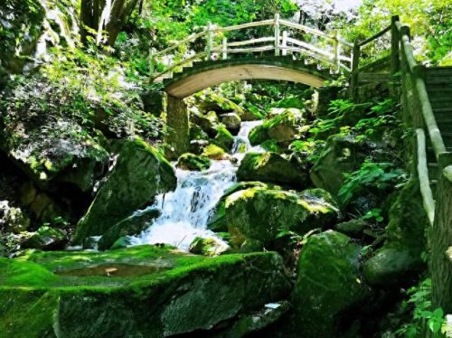 秦岭公园面积排名前十(西安秦岭三大公园)插图11
