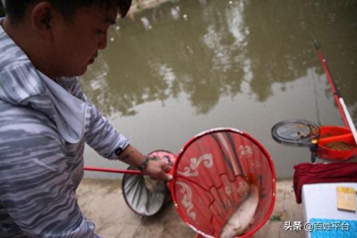 运城钓鱼地点排名前十(运城钓鱼最佳地点)插图5