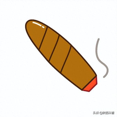 世界十大致癌物排行榜(世界十大致癌物排名)插图3