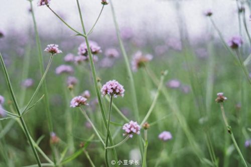 嘉善婚纱摄影十大排行榜(嘉善十大网红打卡地)插图1